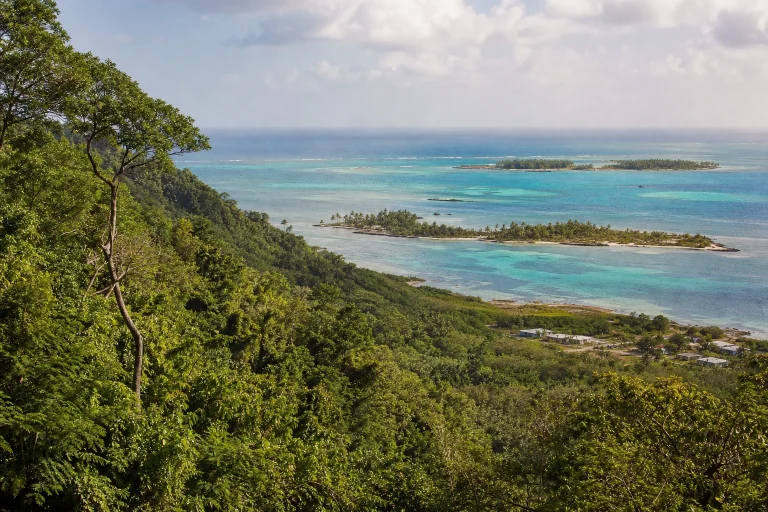 Lush Belize landscape and turquoise Caribbean water