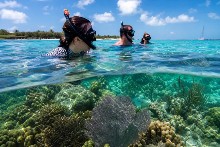 Snorkelers floating above coral in Belize