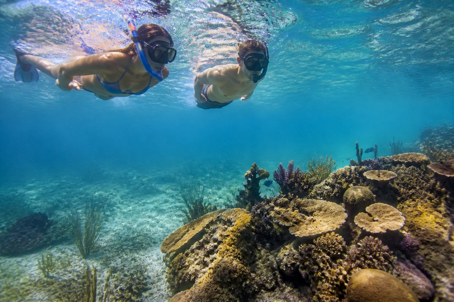 Couple snorkeling over a Belize reef