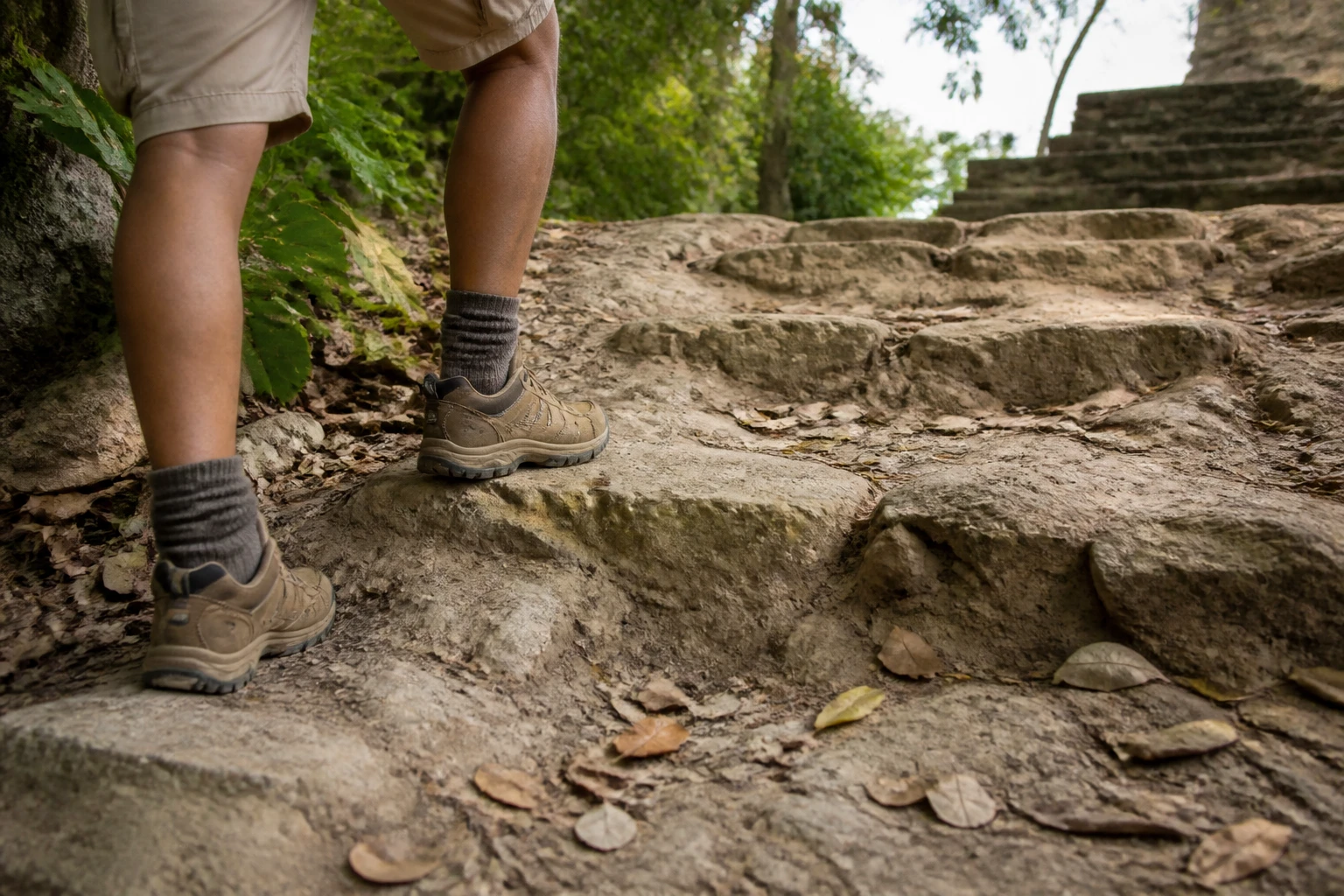 Marked rugged trail at a Belize archaeological reserve