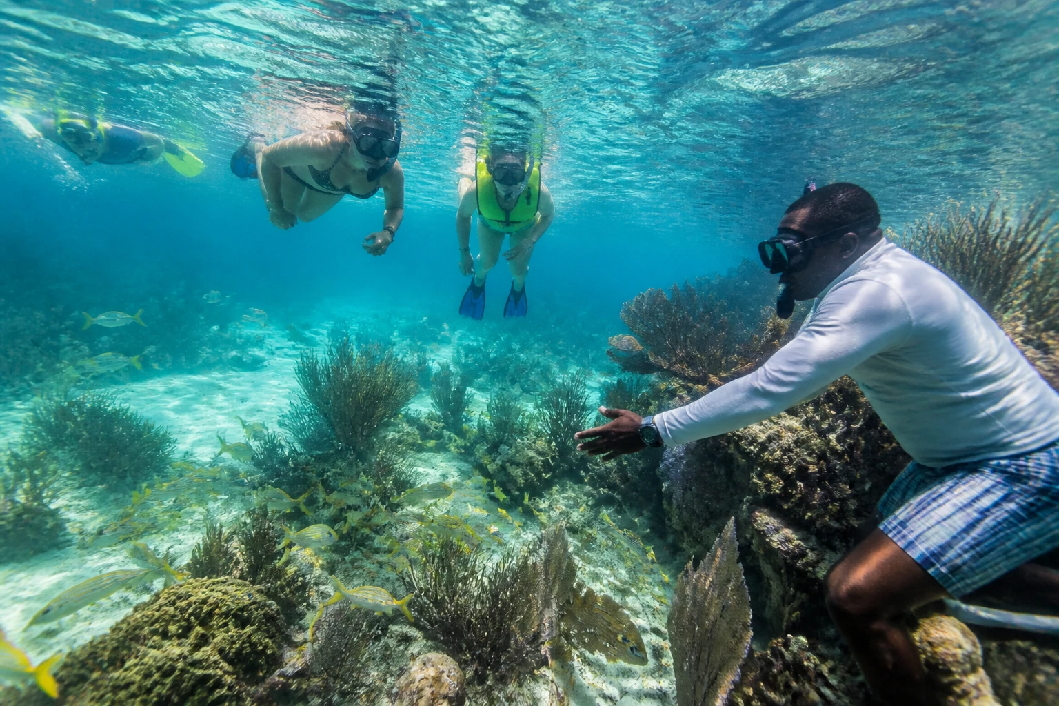 Guided snorkelers above coral and reef fish at Hol Chan Marine Reserve