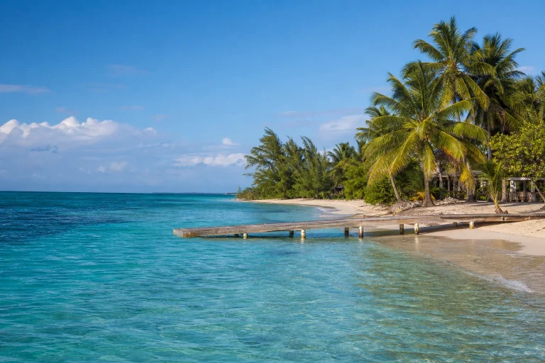 Tropical Belize shoreline in warm winter light
