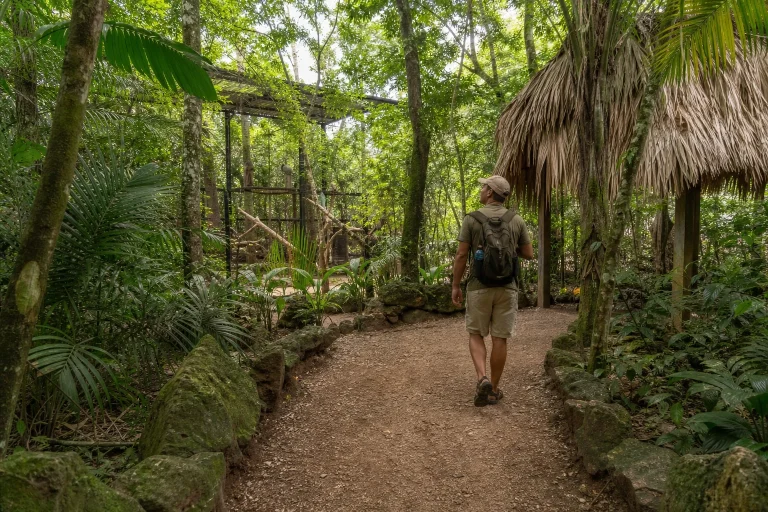 Tropical walking path at the Belize Zoo