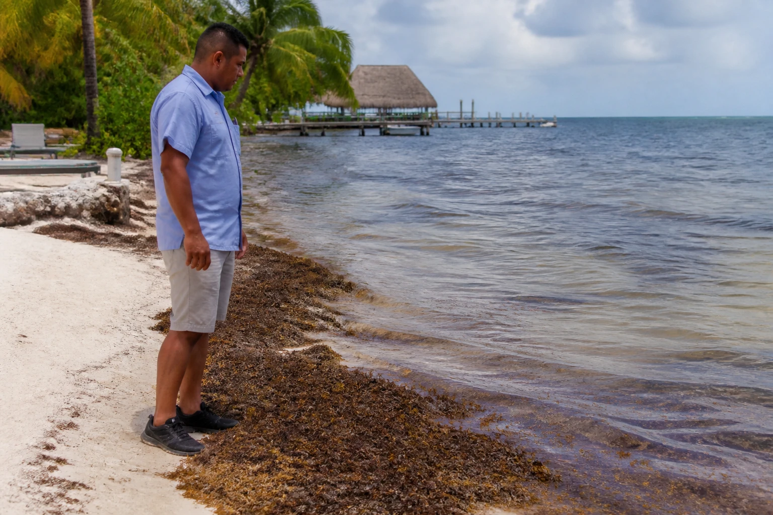 Belize shoreline being checked for current sargassum conditions