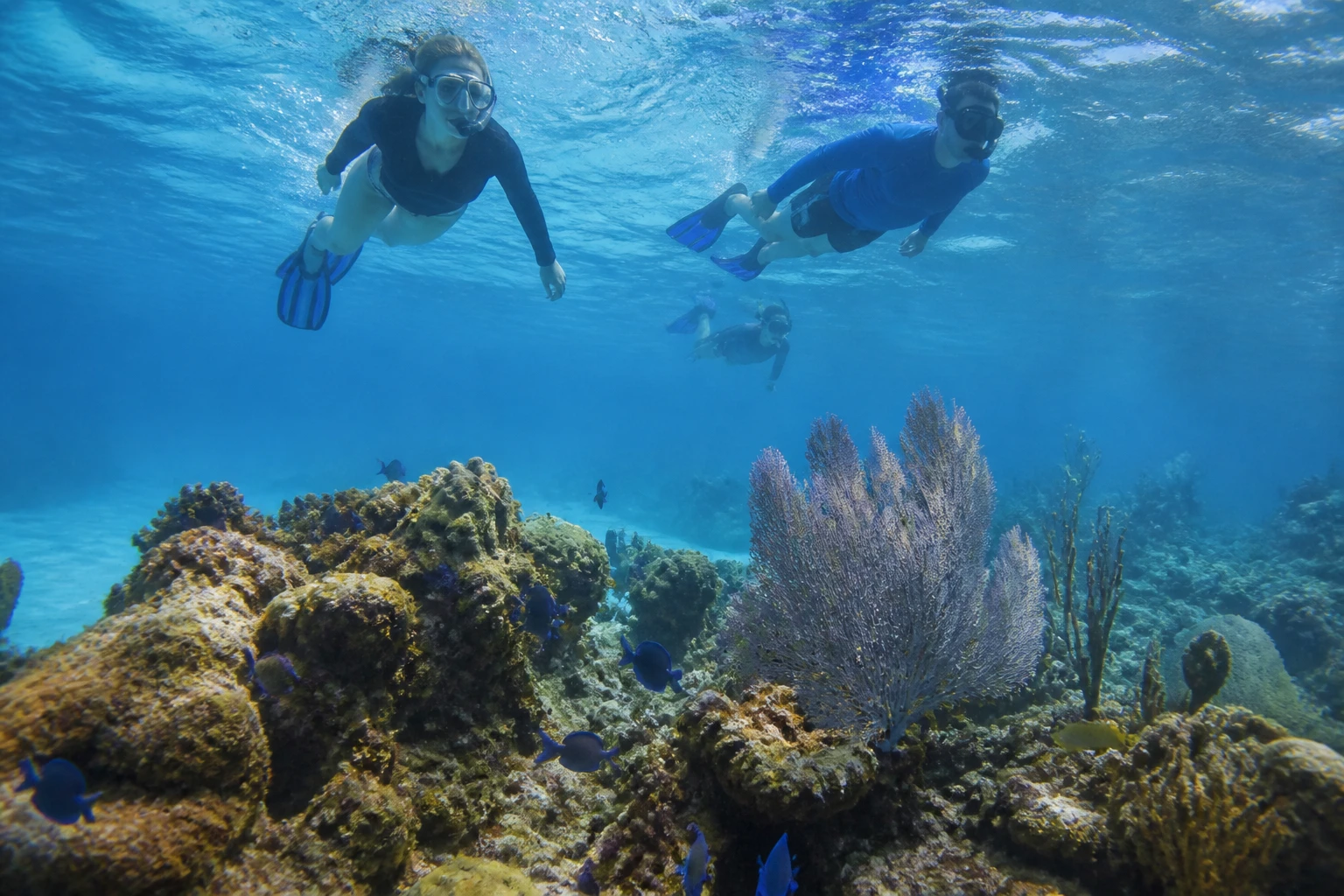 Snorkelers exploring reef waters in Belize