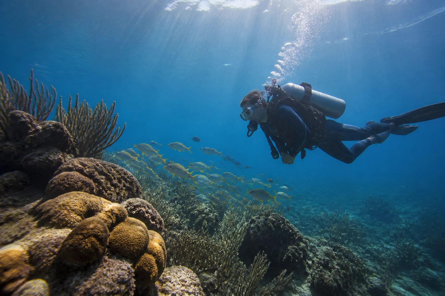 Scuba diver exploring a reef in the waters around Turneffe Atoll